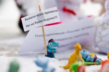 igrushkibarnaul14 23 220x146 В Барнауле прошёл наномитинг