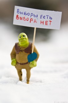 igrushkibarnaul14 30 220x330 В Барнауле прошёл наномитинг
