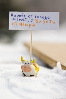 igrushkibarnaul14 31 220x330 В Барнауле прошёл наномитинг
