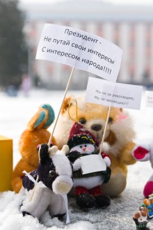 igrushkibarnaul19 24 220x330 В Барнауле состоялся пикет игрушек